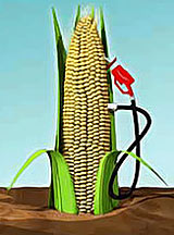 corn cob with gas pump illustration