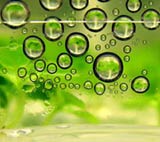 bubbles in green liquid